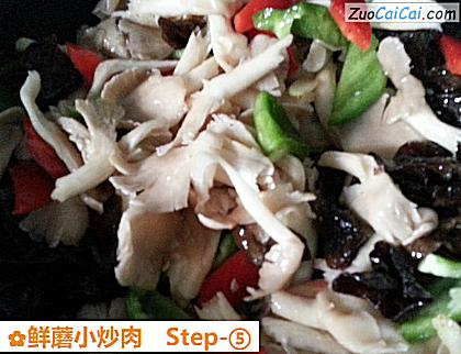 鲜蘑小炒肉做法第五步骤