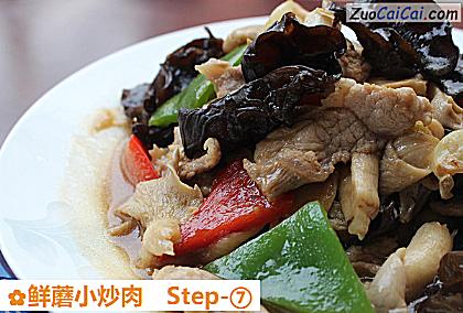 鲜蘑小炒肉做法第七步骤