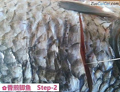 香煎鲫鱼做法第二步骤