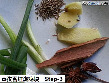 孜香红烧鸡块做法第三步骤