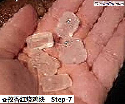 孜香红烧鸡块做法第七步骤