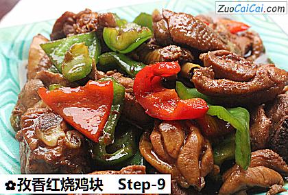 孜香红烧鸡块做法第九步骤