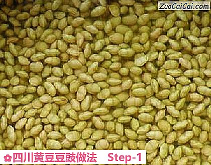 四川黄豆豆豉做法做法第一步骤