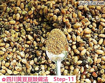 四川黄豆豆豉做法做法第十一步骤