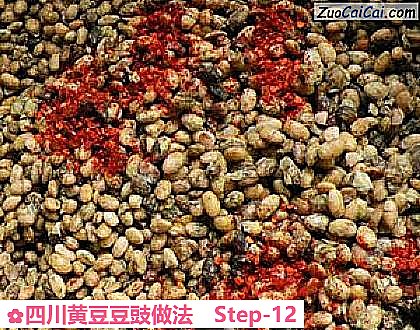 四川黄豆豆豉做法做法第十二步骤