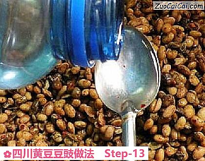 四川黄豆豆豉做法做法第十三步骤