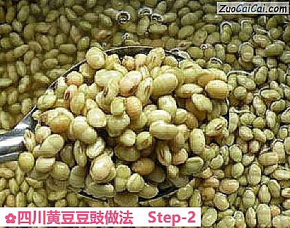四川黄豆豆豉做法做法第二步骤