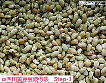 四川黄豆豆豉做法做法第三步骤