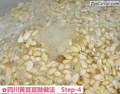 四川黄豆豆豉做法做法第四步骤