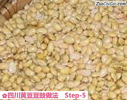 四川黄豆豆豉做法做法第五步骤