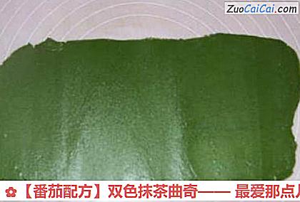 番茄配方做法第九步骤