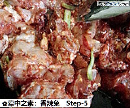 荤中之素：香辣兔做法第五步骤