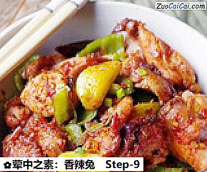 荤中之素：香辣兔做法第九步骤