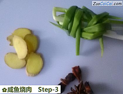 咸鱼烧肉做法第三步骤