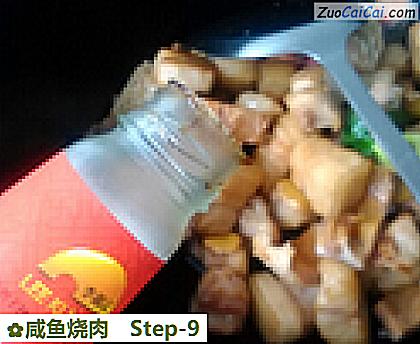咸鱼烧肉做法第九步骤