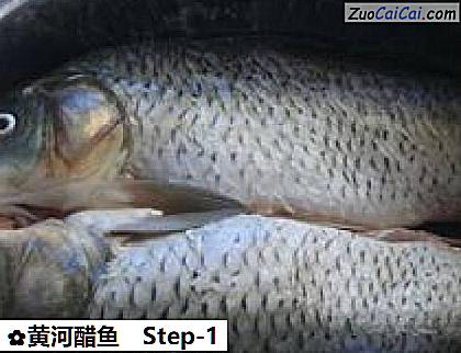黄河醋鱼做法第一步骤