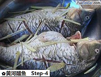 黄河醋鱼做法第四步骤