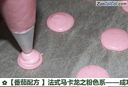 番茄配方做法第十步骤