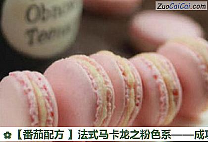 番茄配方做法第十一步骤