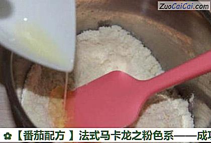 番茄配方做法第三步骤