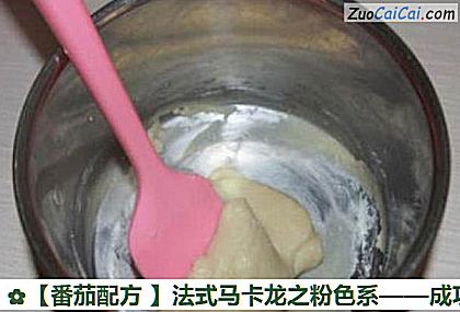 番茄配方做法第五步骤