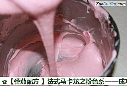 番茄配方做法第九步骤