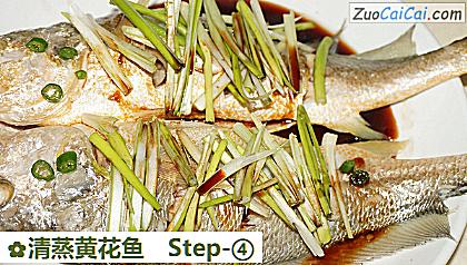 清蒸黄花鱼做法第四步骤