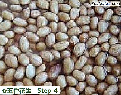 五香花生做法第四步骤