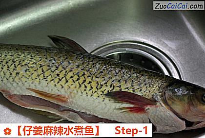 ［仔姜麻辣水煮鱼］做法第一步骤