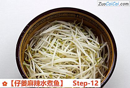 ［仔姜麻辣水煮鱼］做法第十二步骤