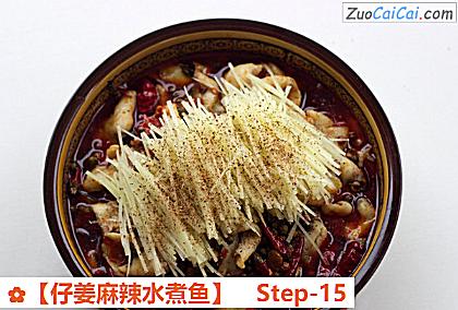 ［仔姜麻辣水煮鱼］做法第十五步骤