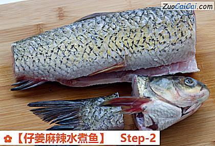 ［仔姜麻辣水煮鱼］做法第二步骤