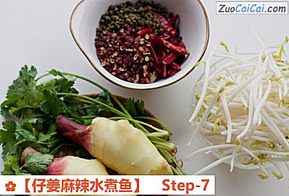 ［仔姜麻辣水煮鱼］做法第七步骤