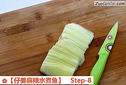 ［仔姜麻辣水煮鱼］做法第八步骤