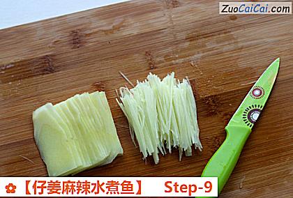［仔姜麻辣水煮鱼］做法第九步骤
