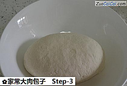 家常大肉包子做法第三步骤