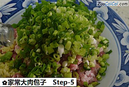 家常大肉包子做法第五步骤