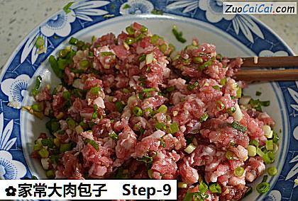 家常大肉包子做法第九步骤