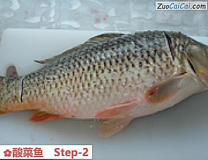 酸菜鱼做法第二步骤