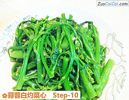 蒜蓉白灼菜心做法第十步骤