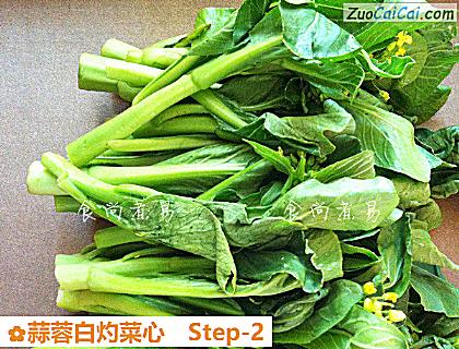 蒜蓉白灼菜心做法第二步骤