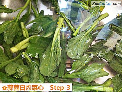 蒜蓉白灼菜心做法第三步骤