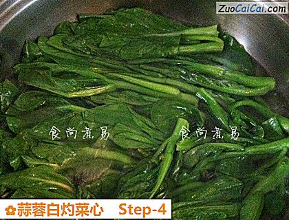 蒜蓉白灼菜心做法第四步骤