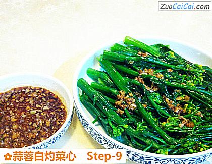 蒜蓉白灼菜心做法第九步骤