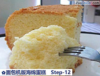 面包机版海绵蛋糕做法第十二步骤