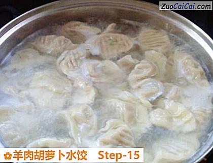 羊肉胡萝卜水饺做法第十五步骤