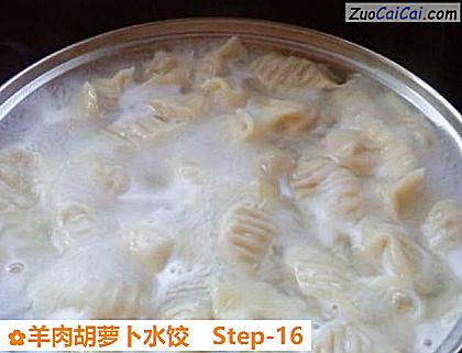 羊肉胡萝卜水饺做法第十六步骤