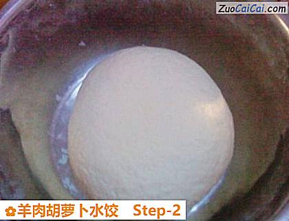 羊肉胡萝卜水饺做法第二步骤