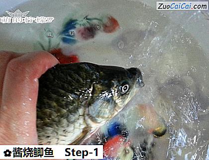 酱烧鲫鱼做法第一步骤