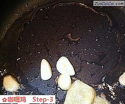 咖喱鸡做法第三步骤